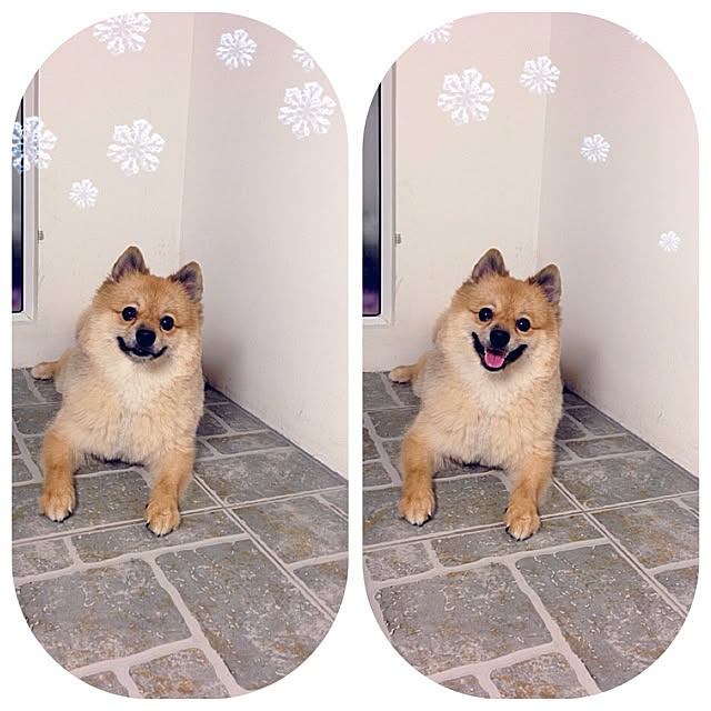 Ployさんの実例写真