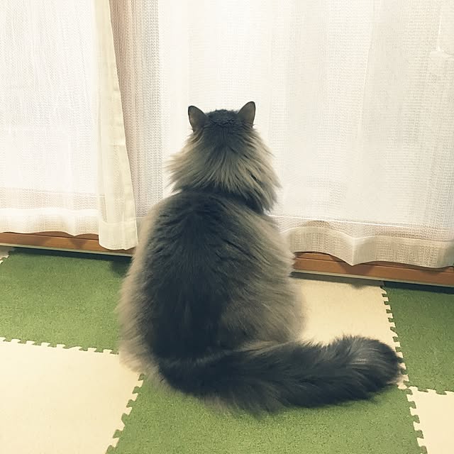 ichanさんの実例写真