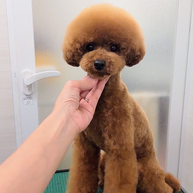 yuuさんの実例写真