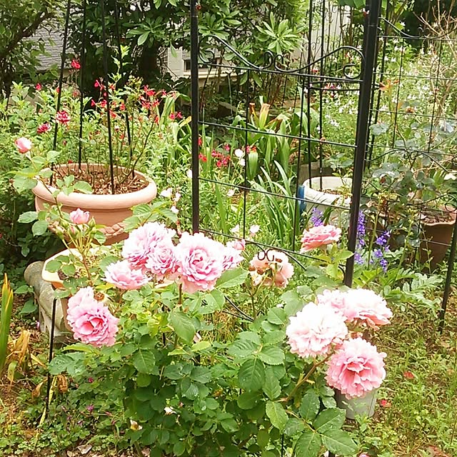 Tomopさんの実例写真