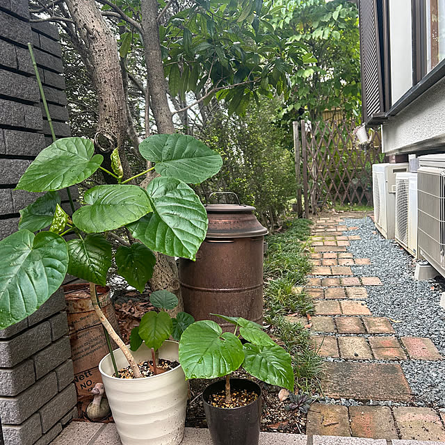 pirokoさんの実例写真