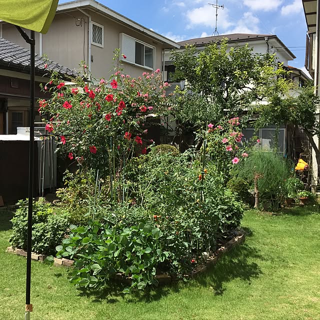 kurikury777さんの実例写真