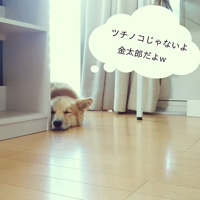 kaoriさんの実例写真