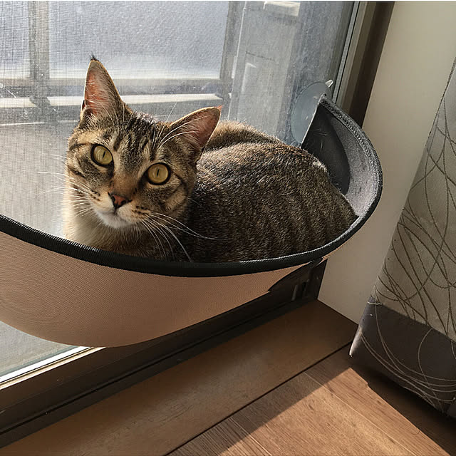 mikomaruさんの実例写真