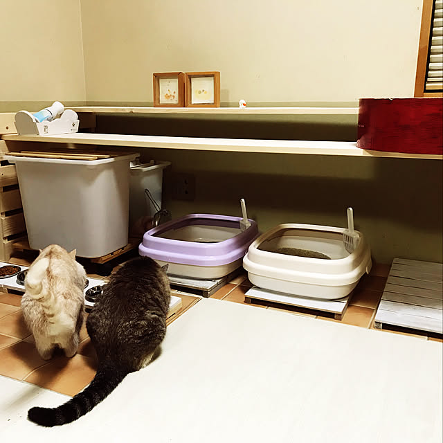 ciffocoさんの実例写真