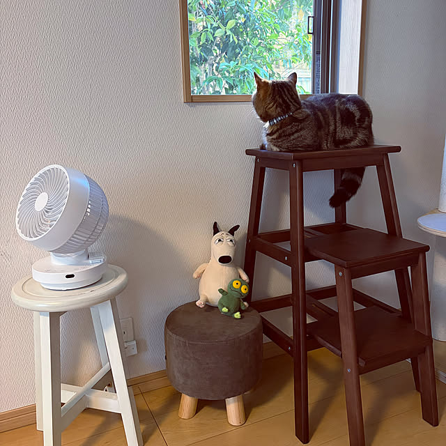 chiiさんの実例写真