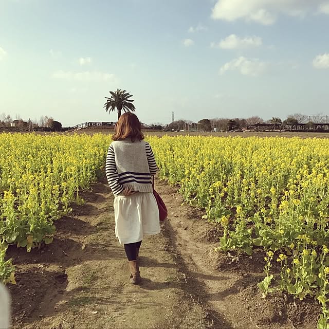 実例写真