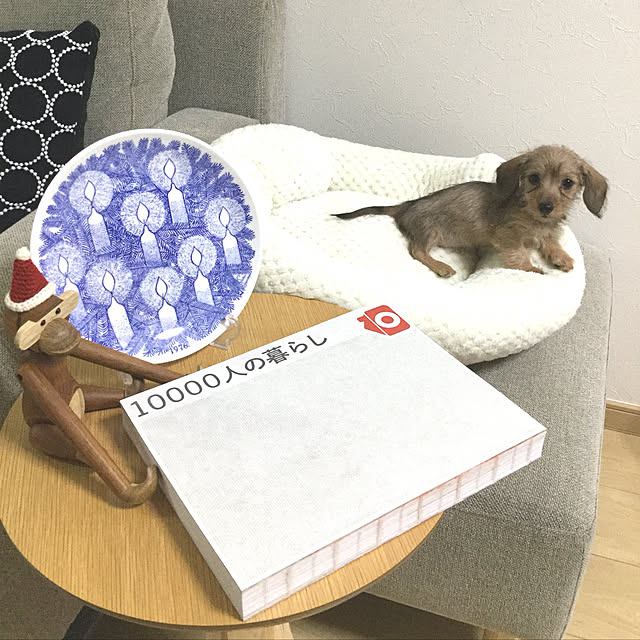 sari-rinさんの実例写真