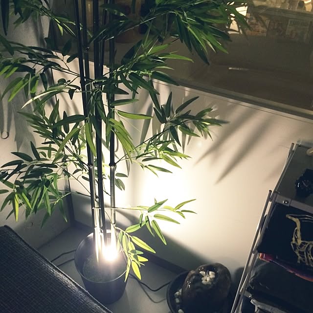 KUSANAGIさんの実例写真