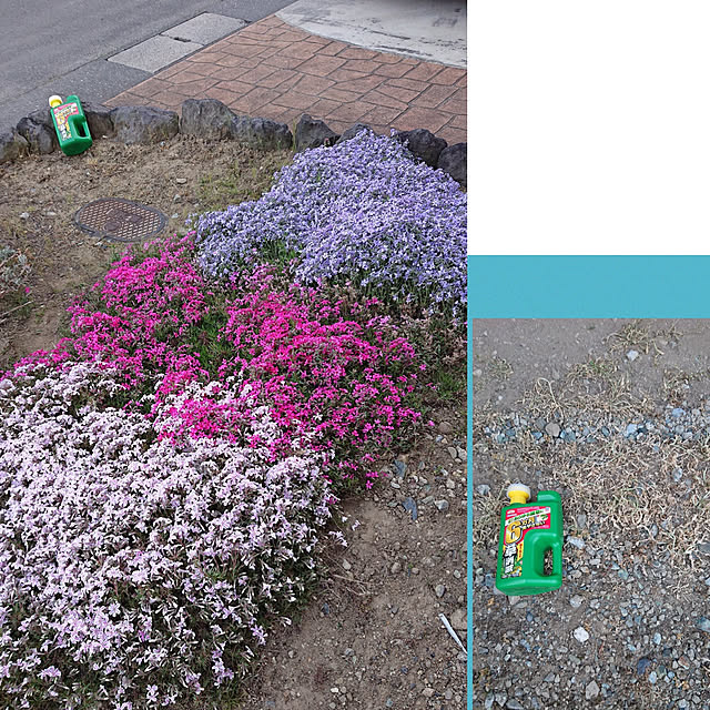 yukkin29さんの実例写真
