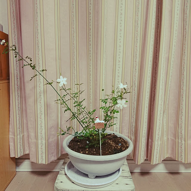 oliveさんの実例写真
