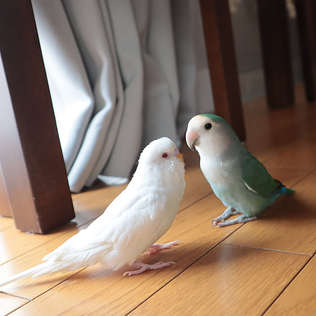 Chiakiさんの実例写真