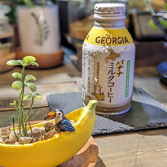 GINさんの実例写真