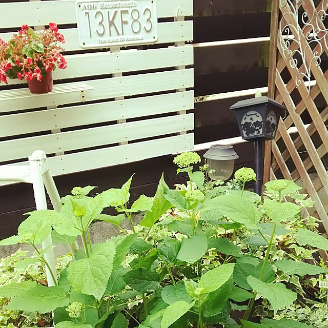 kaorinさんの実例写真