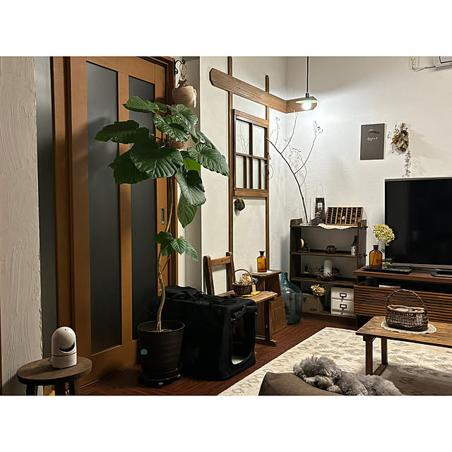 meguko.ryanさんの部屋