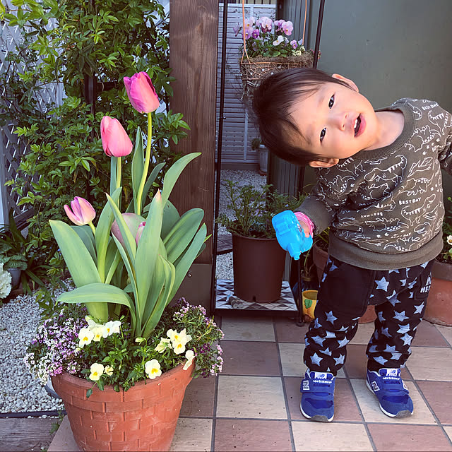 hinamamaさんの実例写真