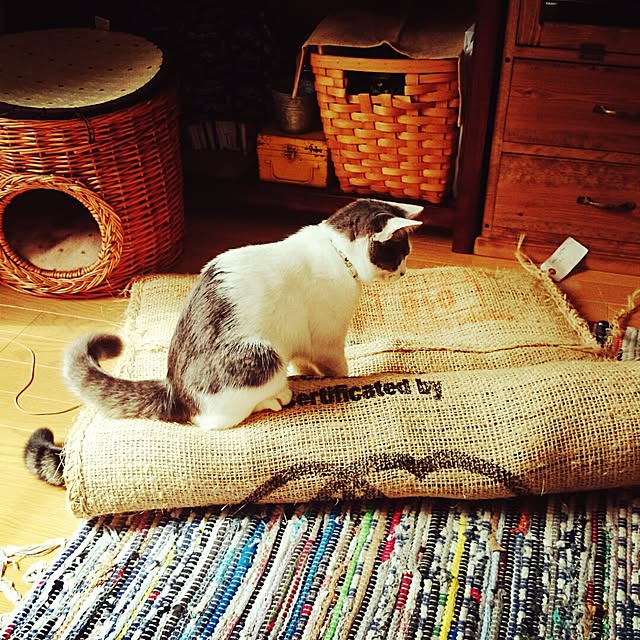 yockenさんの実例写真