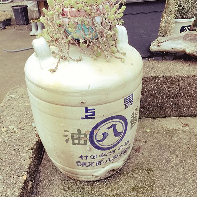 u-kichi-.-561223さんの実例写真