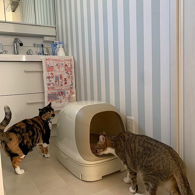neconeko1202さんの実例写真