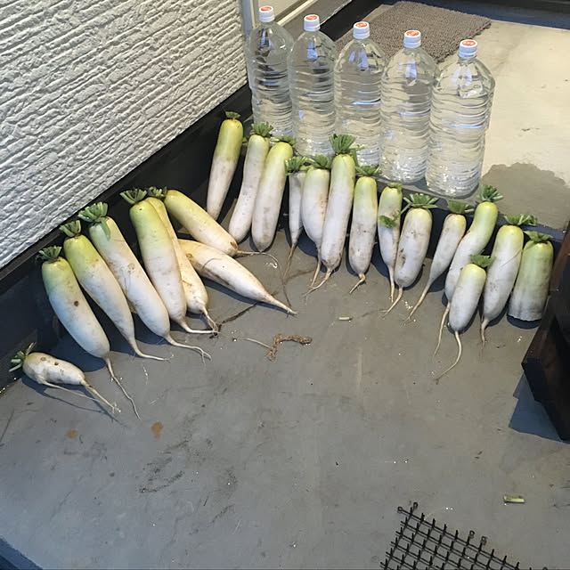 awaさんの実例写真