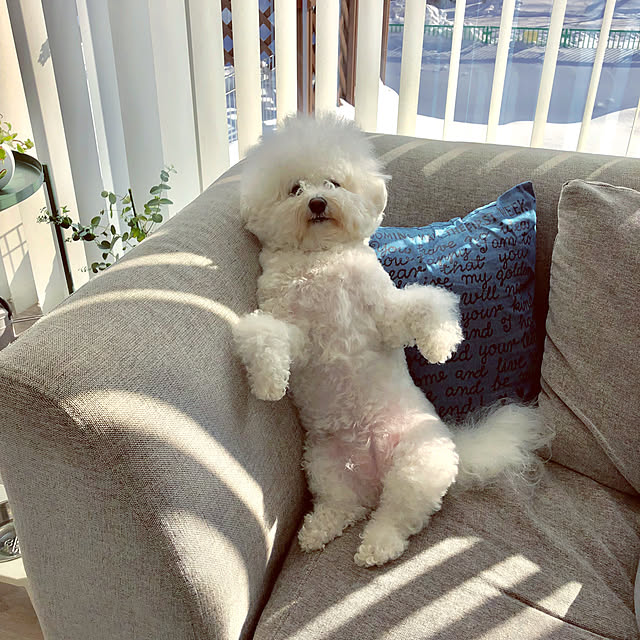 unichanさんの実例写真