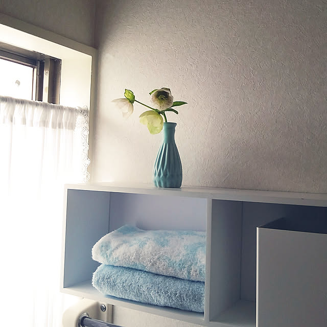 Renさんの実例写真