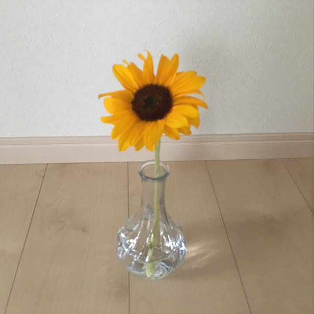 fuuuuさんの実例写真