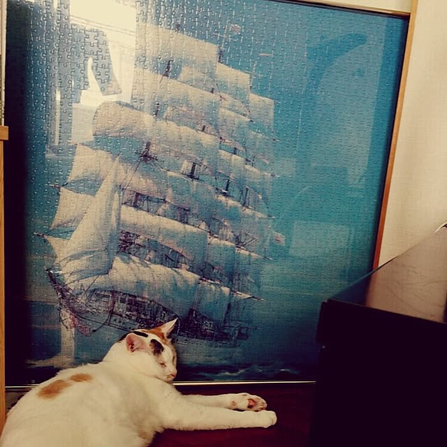 raiさんの実例写真