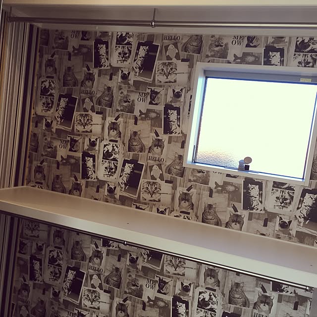 a-shiさんの実例写真