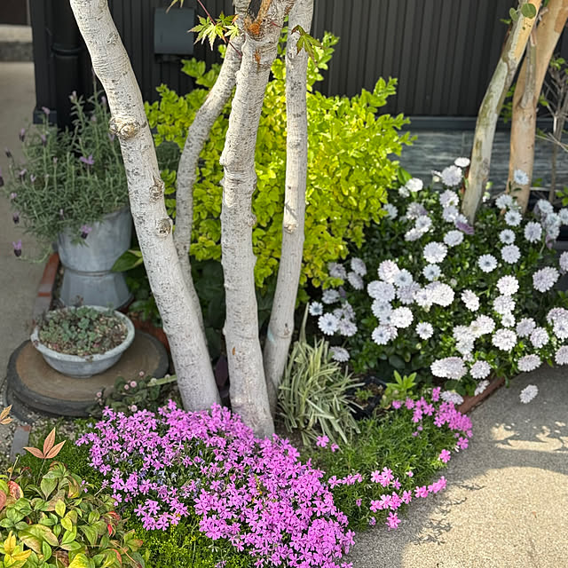 Tomokoさんの部屋