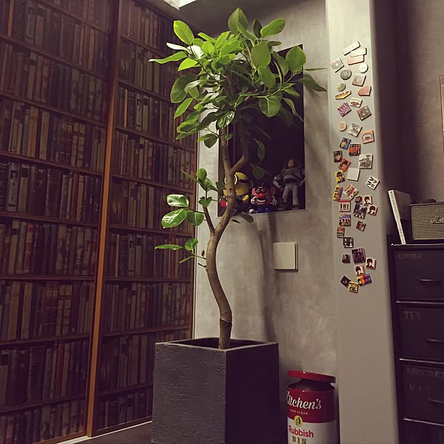 juncox1008さんの実例写真