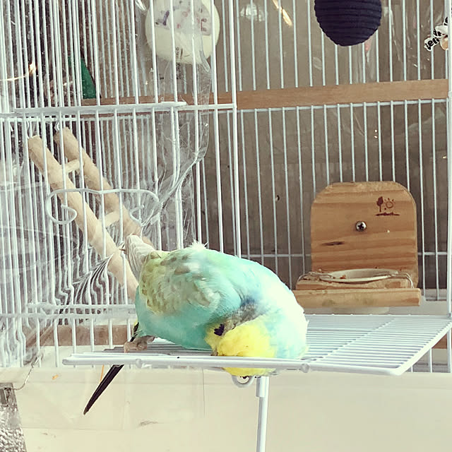 tarさんの実例写真