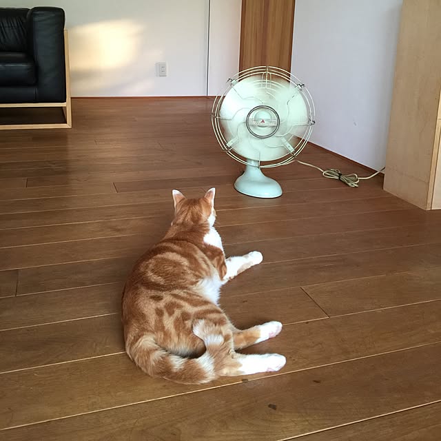 gguuiiさんの実例写真