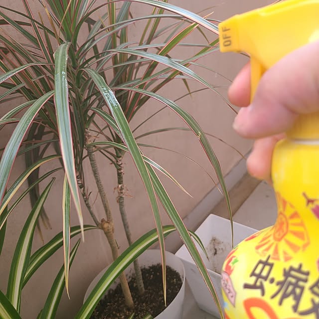 monnさんの部屋