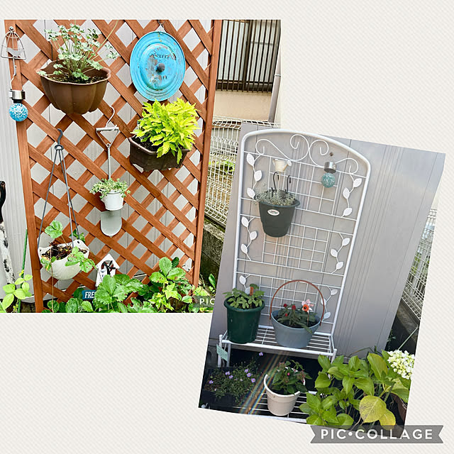 CoCo0617さんの部屋