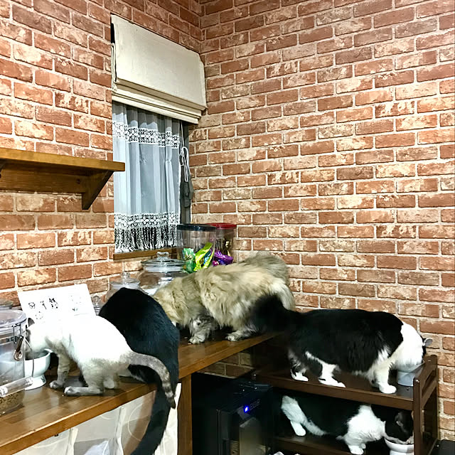 butachanさんの実例写真