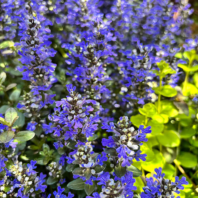 kyoko1124koさんの部屋