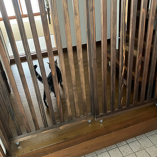 Y800さんの部屋