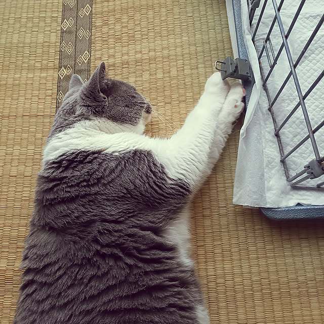 rhuさんの実例写真