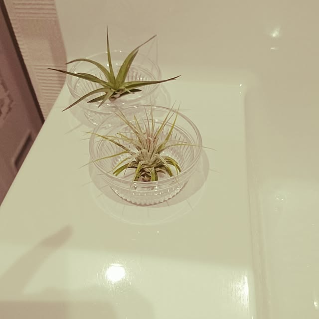 daracoさんの実例写真