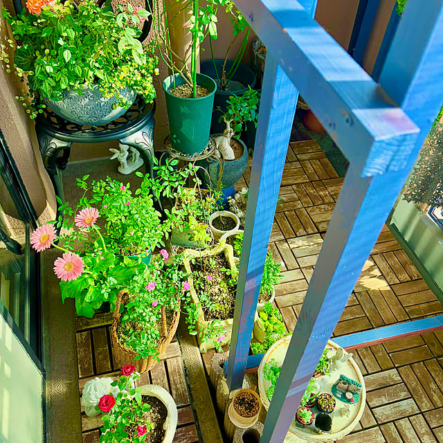 naokoさんの部屋