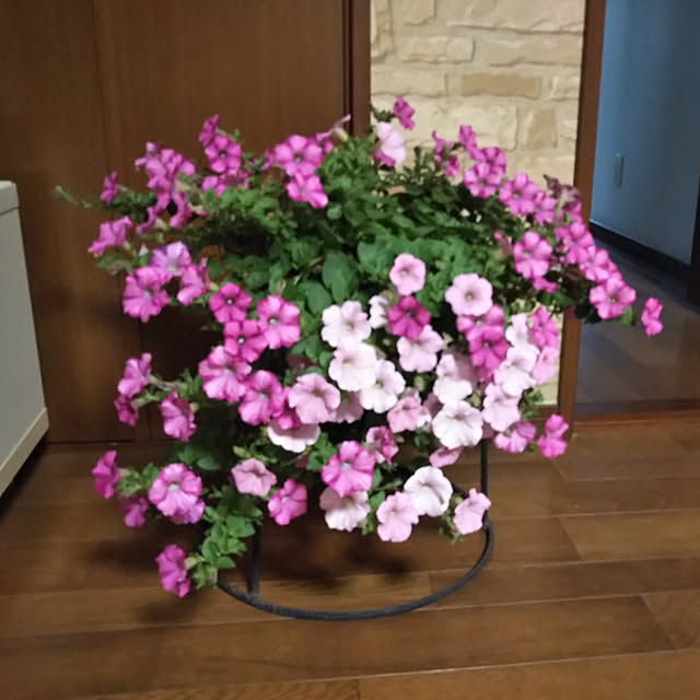 sa.yさんの実例写真