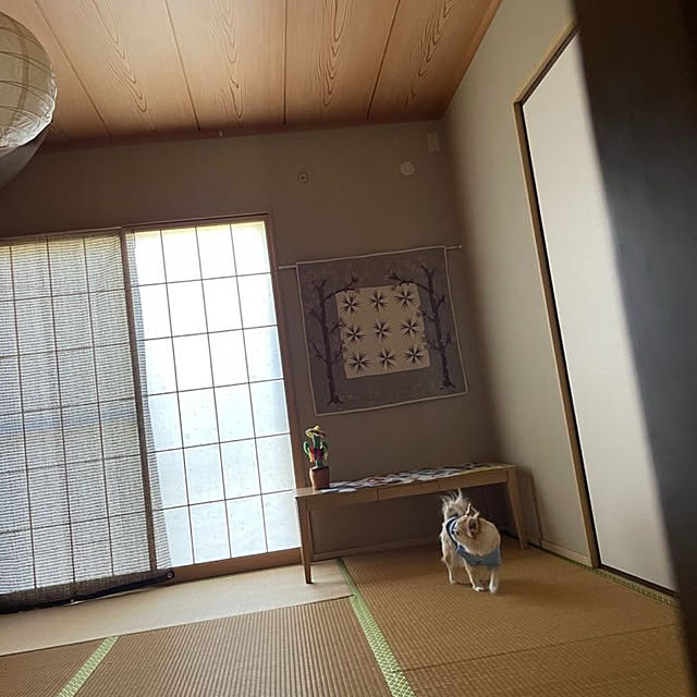 natsumiさんの実例写真