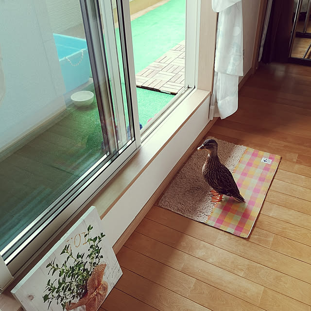 akiさんの実例写真