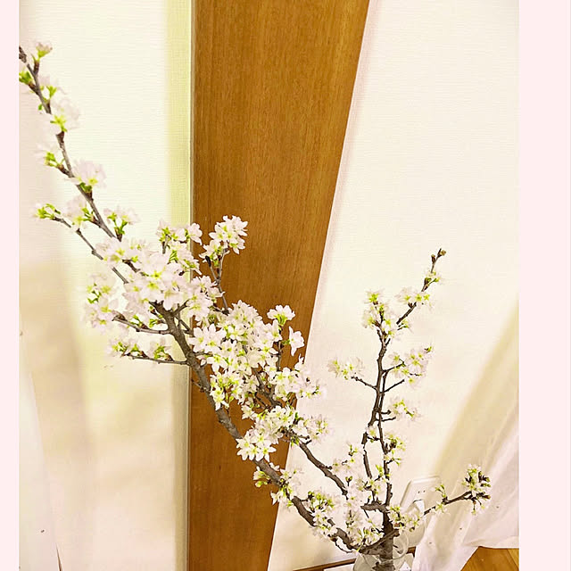 hatsu.0202さんの実例写真