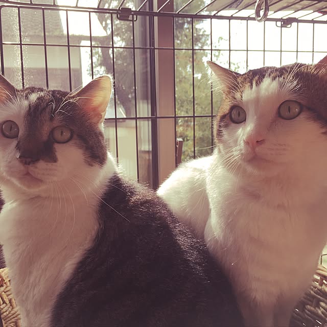 mariaさんの実例写真