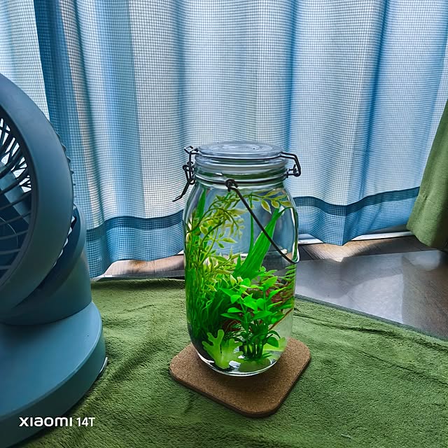 ca50meさんの実例写真