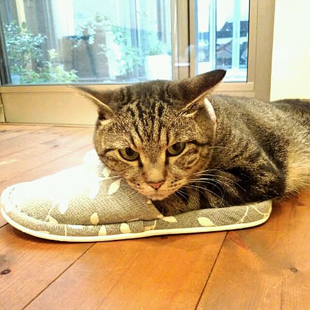 coconana165さんの実例写真