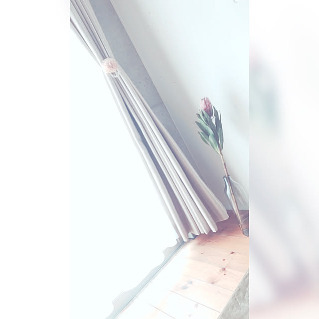 racoさんの実例写真
