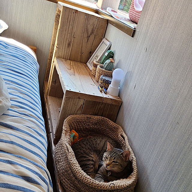 WOODPROさんの部屋